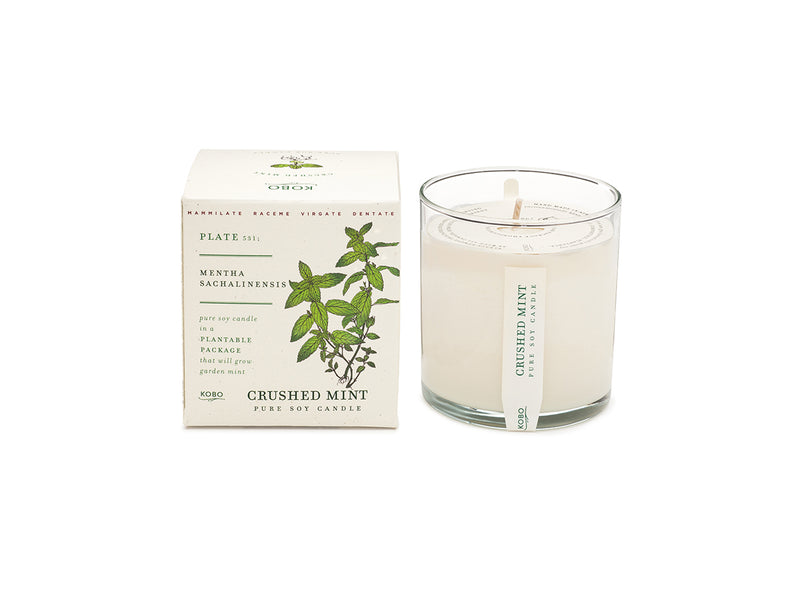 Great Things Take Thyme – Lightened Candle Co.