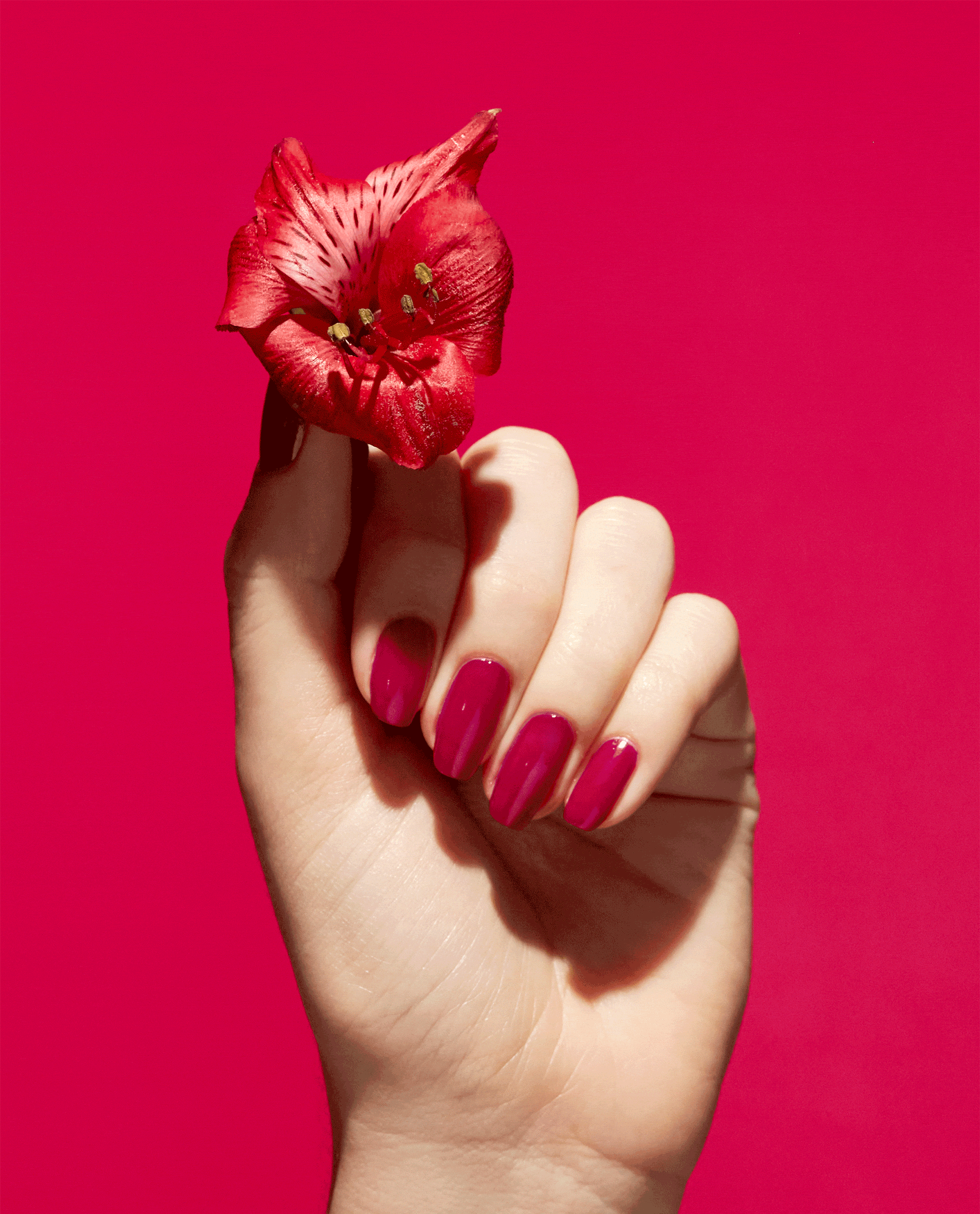 OPI A Bloom with a View Red Natural-origin Nail Polish GIF