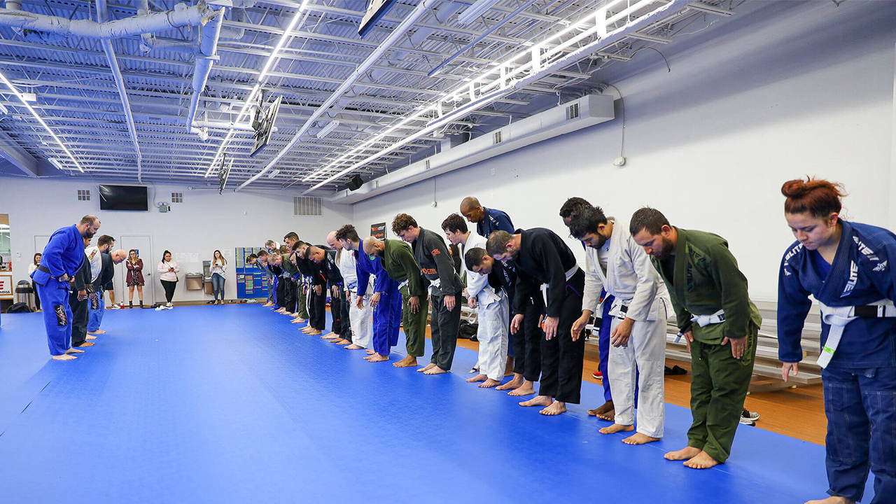 BJJ Class