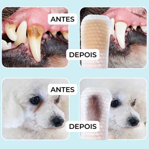 Lenços de Dedo para Limpeza de Dentes de Cães e Gatos , Lenços de dedo para limpeza de dentes de cachorro, lencos de dedo para limpeza de dentes de cachorro filhote, Lenços odontológicos para animais de estimação, toalhetes para limpeza de animais de estimação