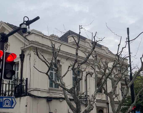 Exploring Nanjing West Road in the Heart of Bustling Shanghai