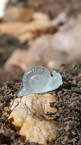 aquamarine snail trying to escape!