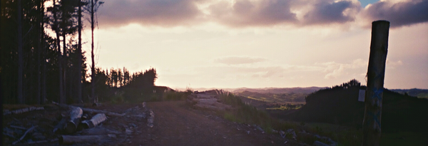 A photo of the results of logging in New Zealand. In the foreground and on the right are cleared areas with no trees and a view of the faraway mountains. On the left there are still some European pine trees standing.