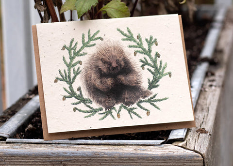 A photo of a Bower Studio Seed card featuring an illustration of a porcupine surrounded by hemlock branches. The card is sitting outdoors on a wooden planter box.
