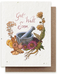 a Bower Studio Seed card featuring an illustration of medicinal herbs around a mortar and pestle with the text Get Well Soon in modern calligraphy