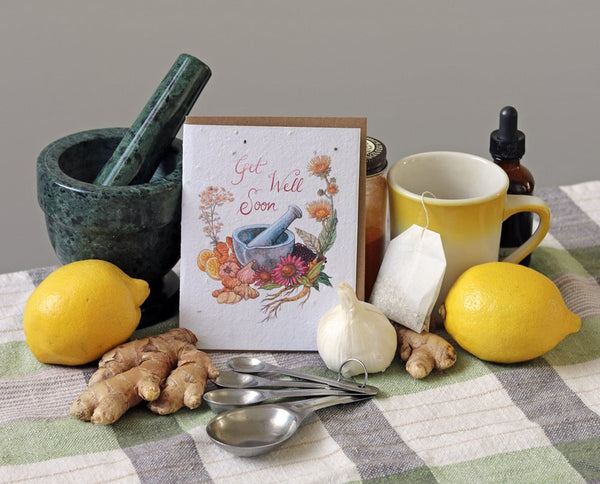A photo of a Small Victories plantable seed card with an illustration of medicinal herbs and the text Get Well Soon. The card is surrounded by real objects related to the illustration: lemons, ginger, a green mortar and pestle, measuring spoons