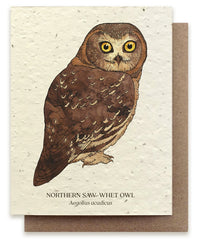 A photo of a Bower Studio seed card featuring an illustration of a Northern Saw-whet owl by Vincent Frano.