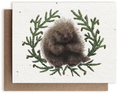 A photo of a Bower Studio Seed card featuring an illustration of a porcupine surrounded by hemlock branches.