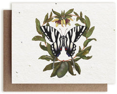 a Bower Studio Seed card featuring an illustration of zebra swallowtail