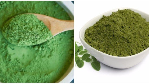 Polvo de Moringa