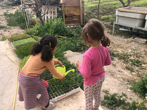 Visita de Ayre Finca Las Moreras