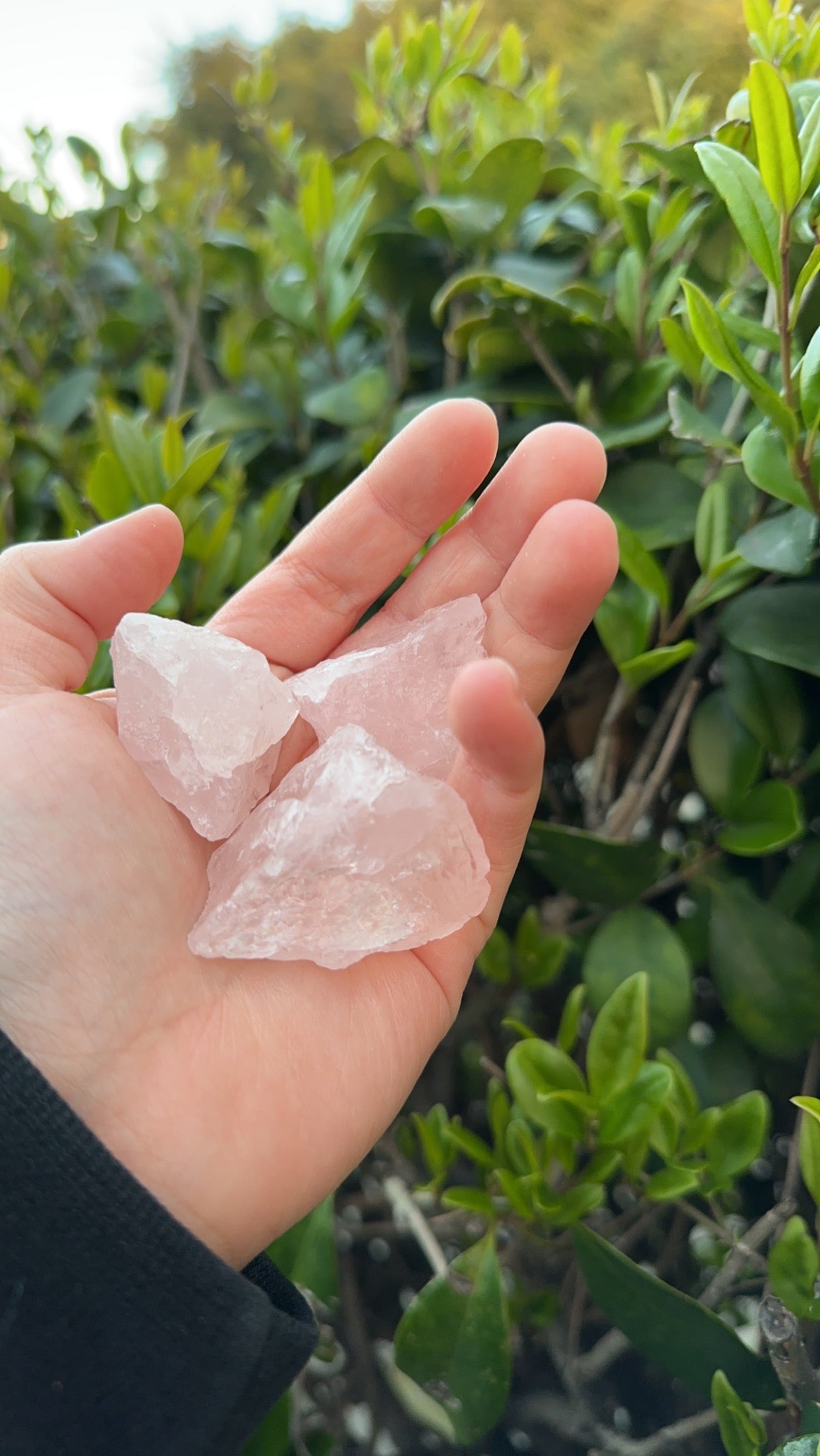Rose quartz raw piece