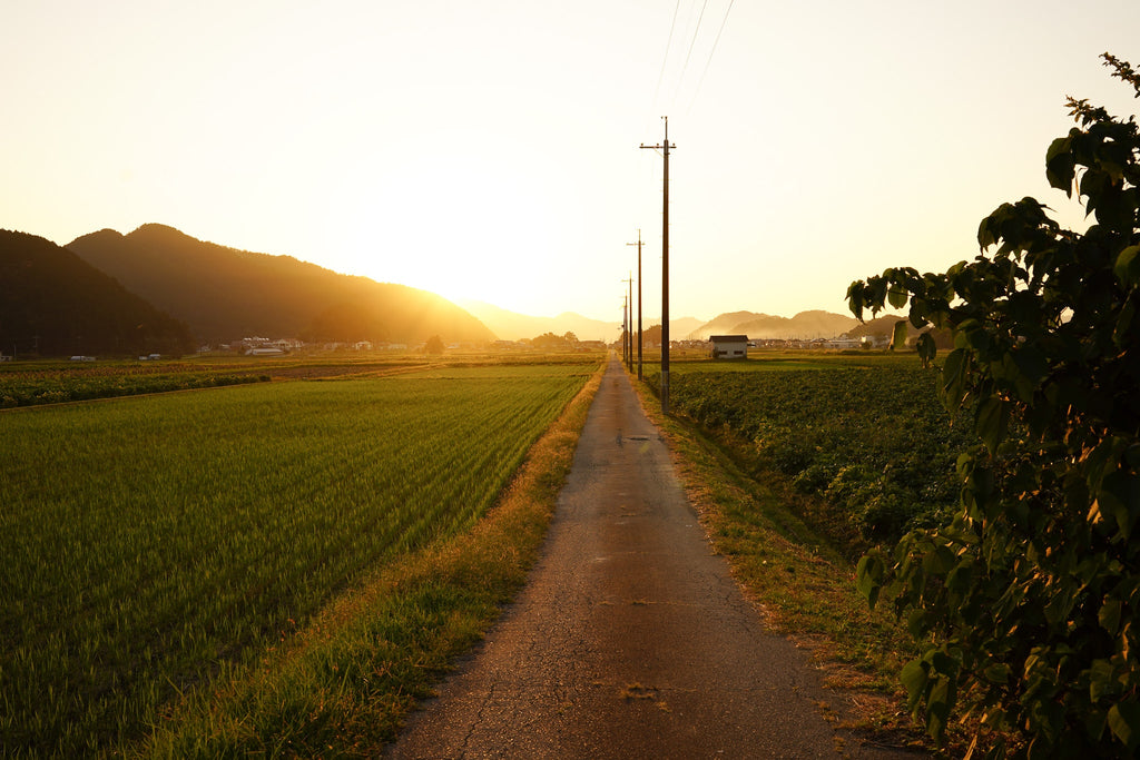 丹波篠山癒し散歩