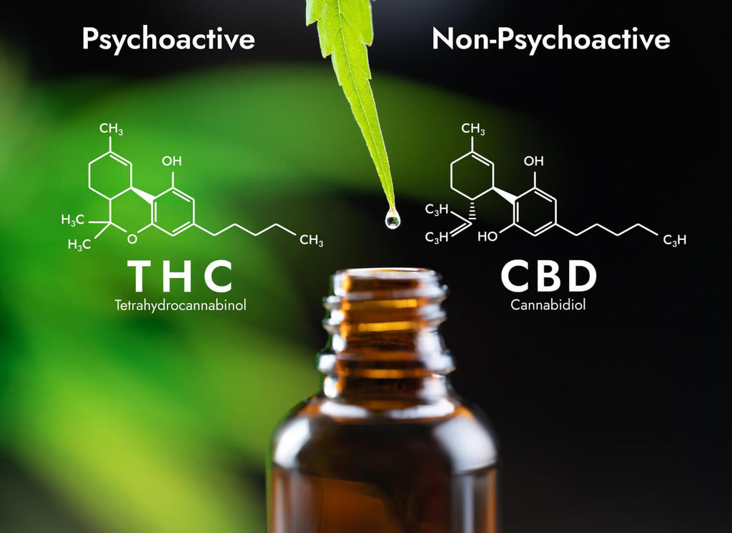 aceite de cbd sin thc