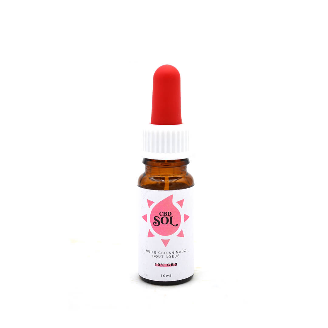 Huile CBD Chien 10% - CBDSol