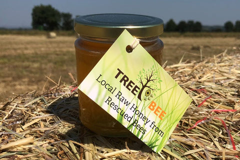 Tree Bee Raw Lancashire Honey