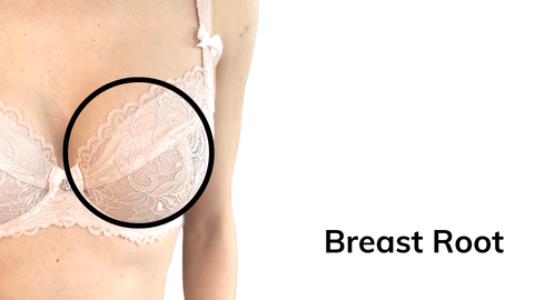 photo showing where the root of the breast is