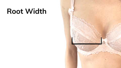 photo showing breast root width