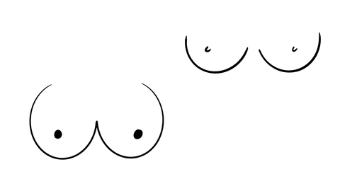 illustrated round breast shape