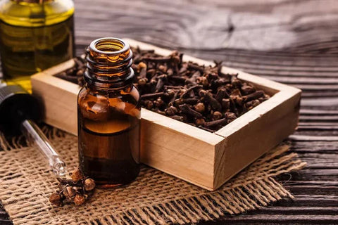 clove oil for mould removal