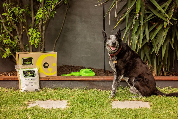 How to Safely Compost Pet Waste at Home | Biome Eco Stores