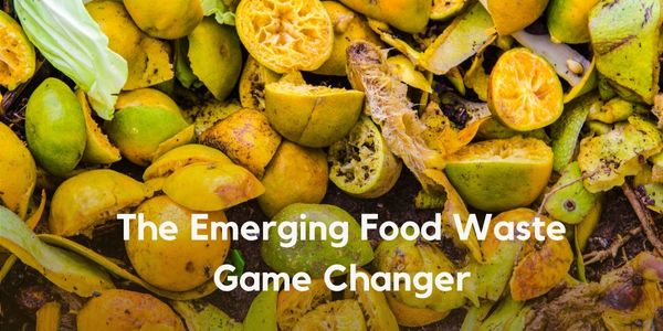fruit and vegetable powders food waste game changer