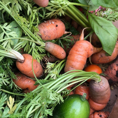 Carrots, beetroot and other root vegetables are in season in autumn in australia