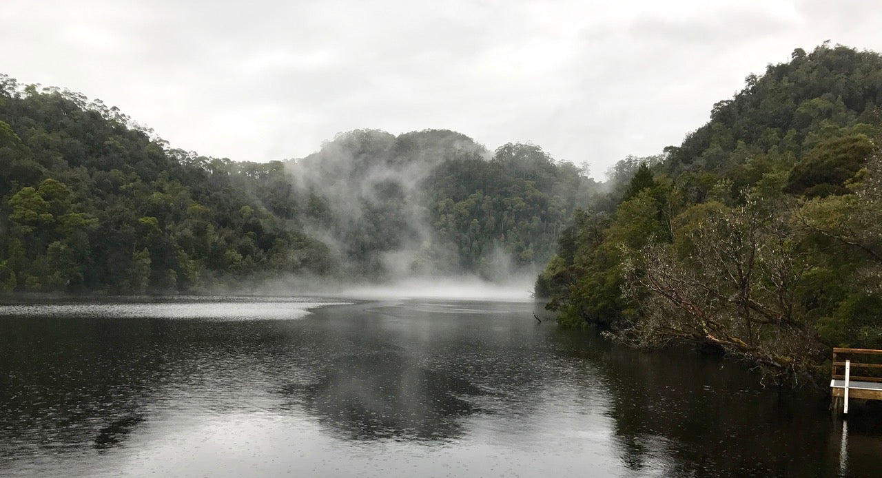 Visit to Tasmanian Wilderness abord Gordon River Cruise