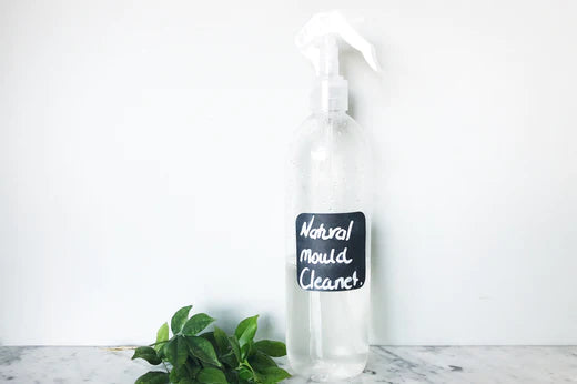 natural mould and mildew cleaner DIY recipe