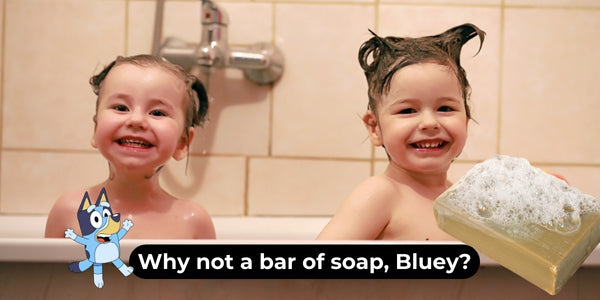why not a bar of soap bluey
