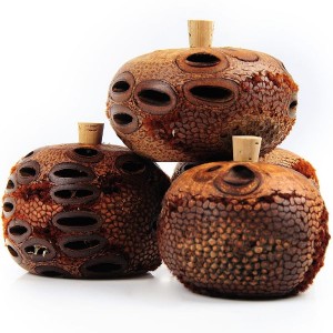Aromatherapy and herbal remedies - Banksia Scent Pot
