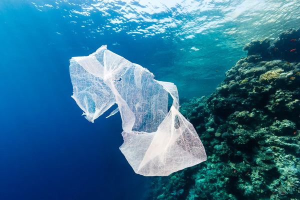what are the best bin bags for environment