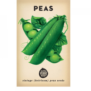 heirloom-seeds-peas-pea-snap-sugar-bon-