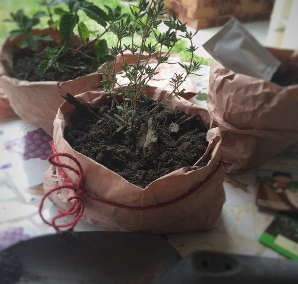 recycle-blog-plant-bags