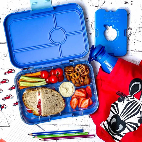 School Lunch Box Ideas - Ecococoon ™