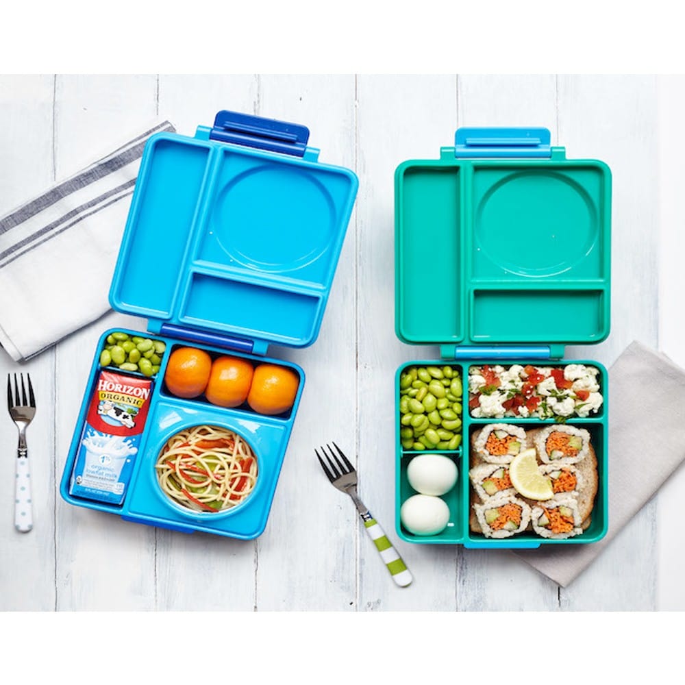 bento lunch box hot and cold