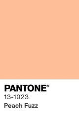 Pantone colour of the year 2024, peach fuzz