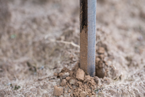 Photo of Screwdriver in Soil
