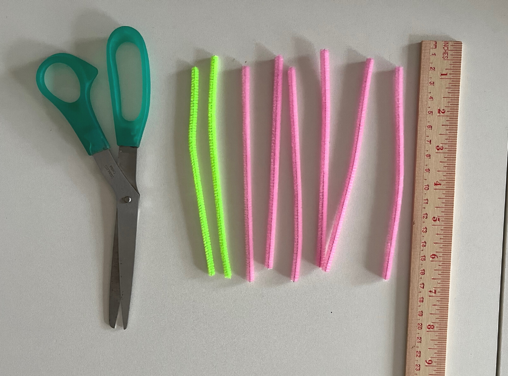 DIY Pipe Cleaners Kit - Carnation