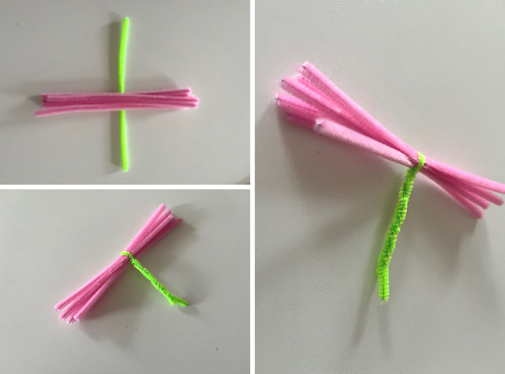 DIY Pipe Cleaners Kit - Carnation