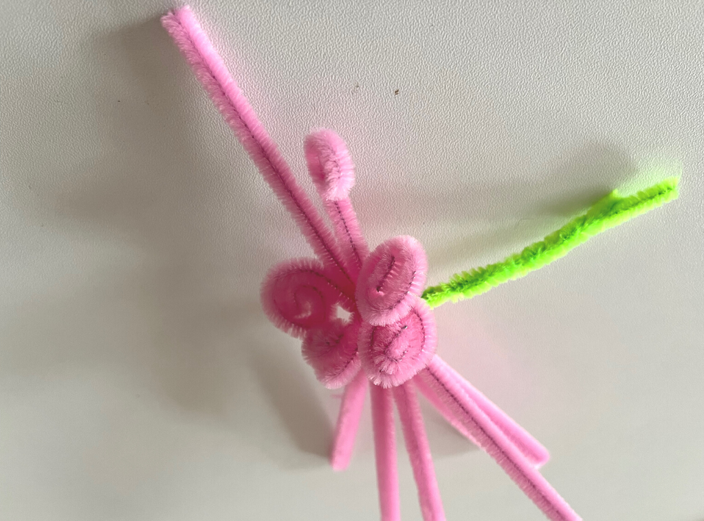 Pipe Cleaner Carnation – LCCraft