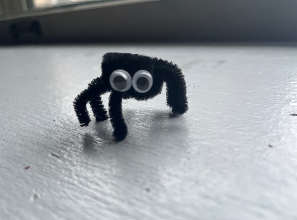 How to Make a Spider Out of Pipe Cleaners