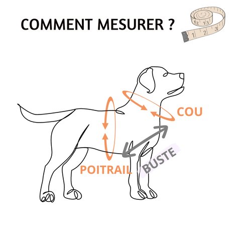 Schéma mesures pour accessoires chien