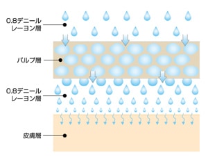 シート断面