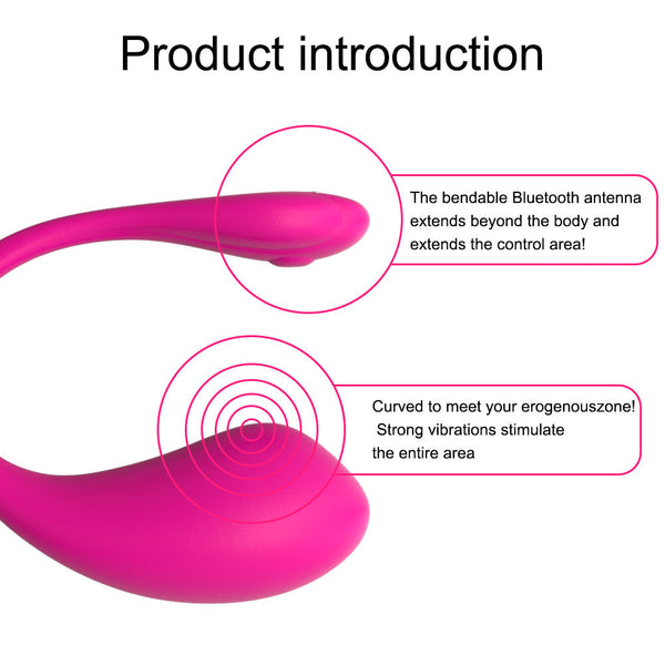 Long-distance App Controlled Wearable Bullet Vibrator