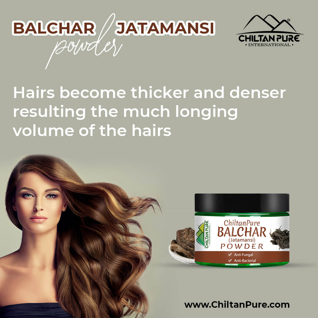 Buy Balchar Jatamansi Powder at Best Price in Pakistan - ChiltanPure