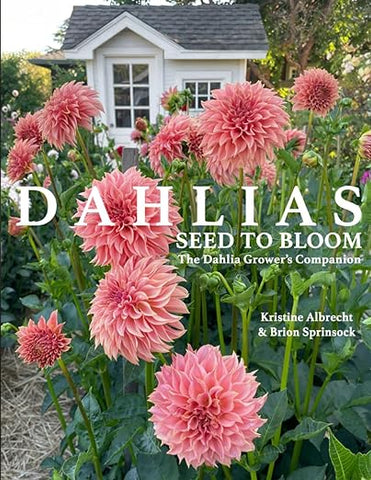 Dahlias: Seed to Bloom