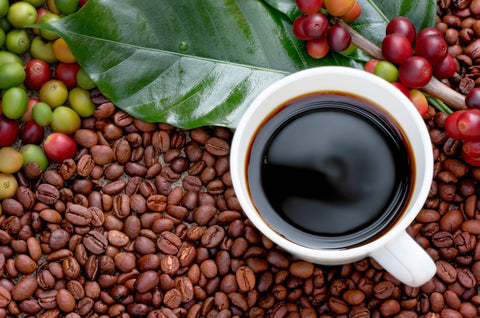 Robusta coffee beans