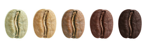 Types of coffee bean roast 