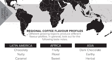 Different Coffee Flavour Profiles